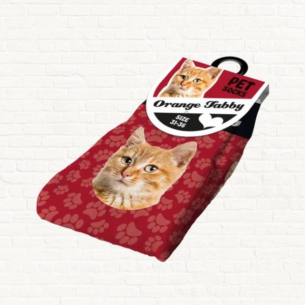 Socken "Orange Tabby"